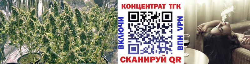 ТГК вейп с тгк  kraken как войти  Ковров 